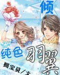 纯色羽翼:倾