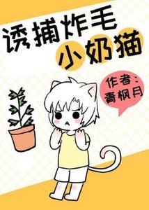 誘捕炸毛小奶貓