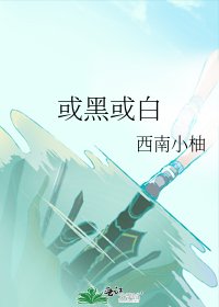 或黑或白