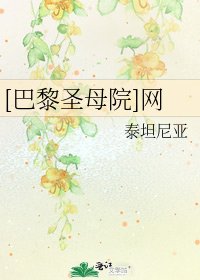 [巴黎圣母院]网